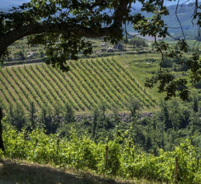 Il Nido Di Montebuoni Βίλα Gaiole in Chianti Εξωτερικό φωτογραφία